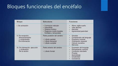 Funciones Cognitivas Superiores