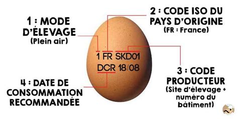 Que Veut Dire Le Code Sur Les Oeufs