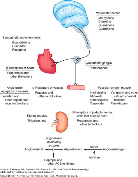 Antihypertensive Agents