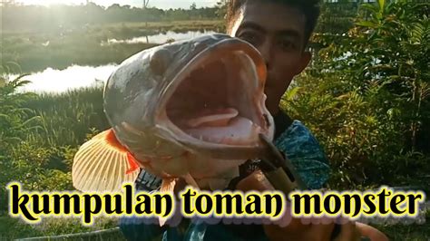 Kumpulan Strike Monster Toman Youtube