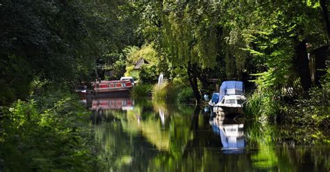 6 Frimley campsites - Best camping in Frimley, Surrey