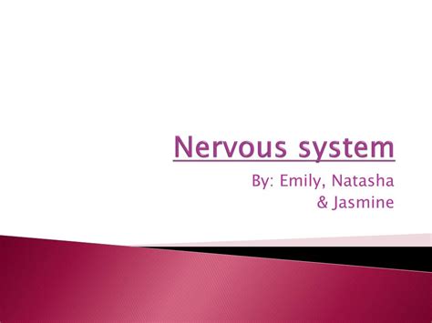 Ppt Nervous System Powerpoint Presentation Free Download Id 2230976