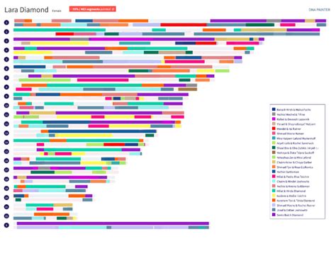 Chromosome Mapping And Endogamy Dna Painter Blog