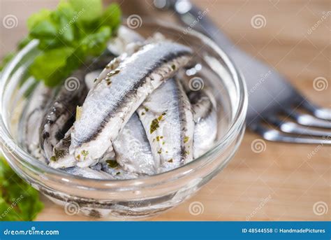 Pickled Anchovis Stock Photo Image Of Gourmet Anchovies