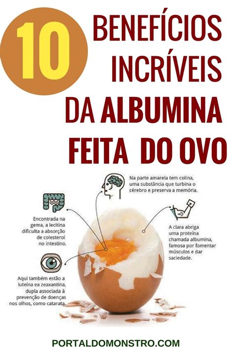 Benef Cios Da Albumina Albumina Benef Cios Amino Cidos