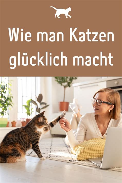 Wie man Katzen glücklich macht Wer sich eine Katze anschaffen möchte