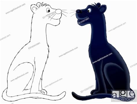 black panther, isolated color drawing and black-and-white outline for a ...