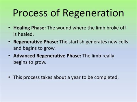 PPT - Starfish Regeneration PowerPoint Presentation - ID:2519334