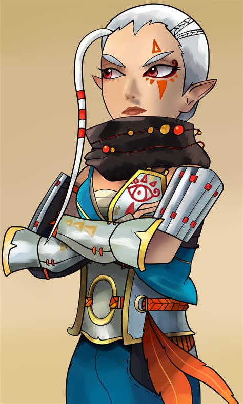 Hyrule Warriors Impa By Shirona I On Deviantart