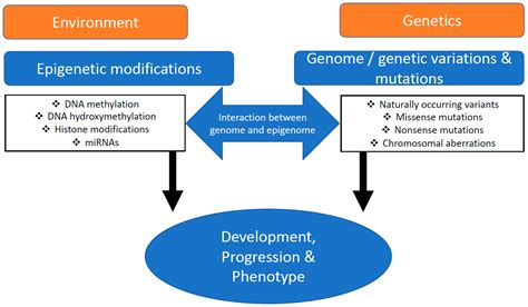 Ijms Free Full Text Epigenetics And Heart Failure