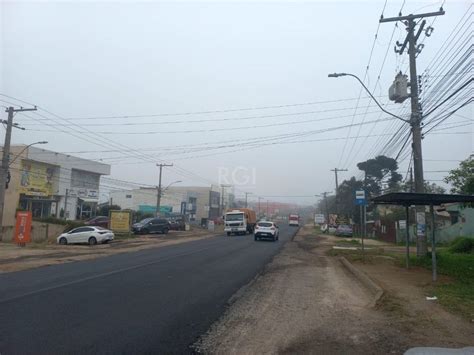 Lote Terreno na Avenida Edgar Pires de Castro 540 Hípica em Porto