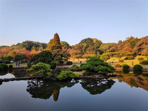 Shinjuku Gyoen National Garden : r/pic