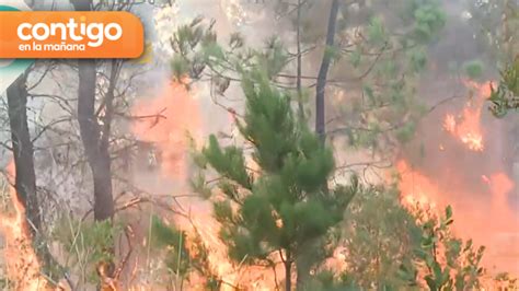 Vecinos Viralizan Impactantes Registros De Incendios Forestales En