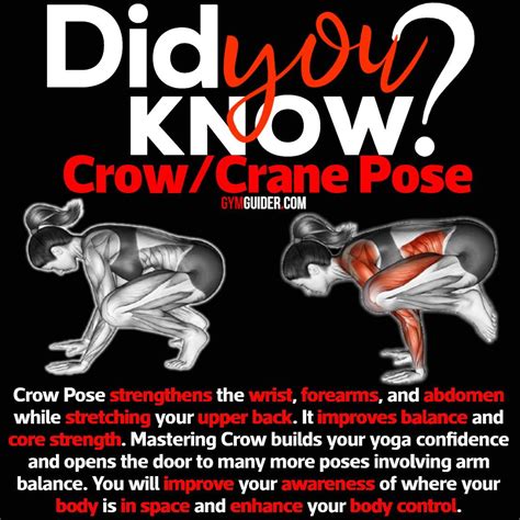 Wrestling Move Abdominal Stretch Art Of Move