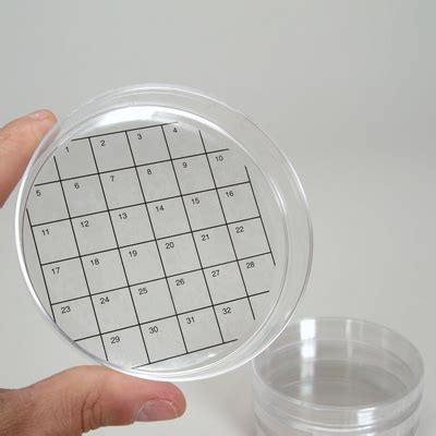 Petristickers Square Grid Pack Of Carolina Biological Supply