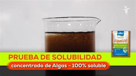 Prueba De Solubilidad Alga600 Youtube