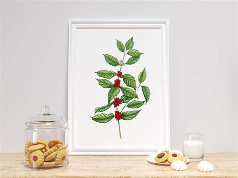 Watercolor Coffee Plant Print. Instant Download Coffee - Etsy