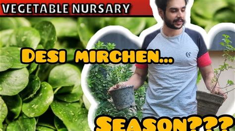 Vegetable Nursary Visit New Addition At Small Place Lahore