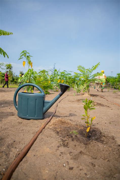 Togo Lagriculture Aux Prises Avec Les Changements Climatiques Les