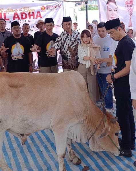 Peringati Hari Raya Idul Adha Li Claudia Chandra Serahkan Dua Ekor