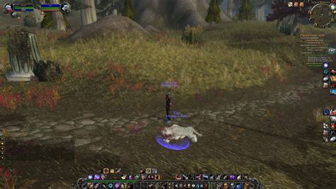 How To Summon Tame Ghost Saber WoW Classic WoW SoD Hunter Pet 2 0