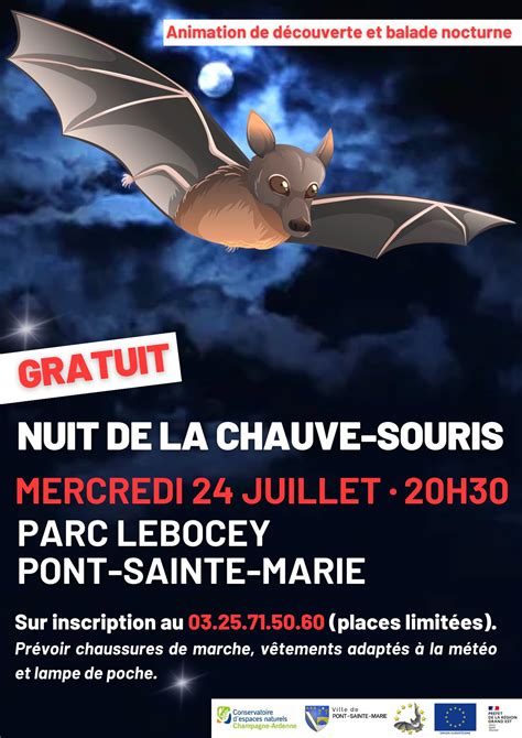 Nuit De La Chauve Souris Pont Sainte Marie Aube Champagne