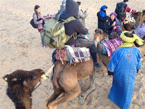 Charlie And Tits Great Adventure