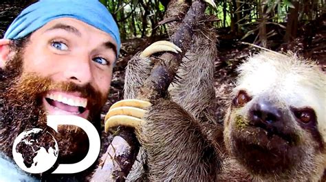 A Sloth Selfie The Wheel Youtube