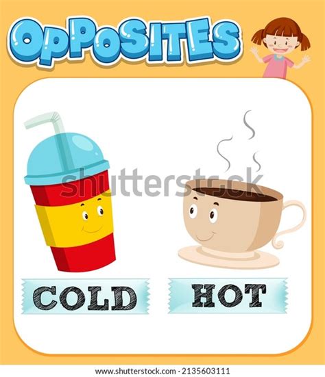 Opposite Words Cold Hot Illustration Stock Vector Royalty Free 2135603111 Shutterstock