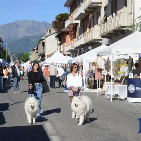 Vigliano la festa di San Michele Fotogallery Attualità