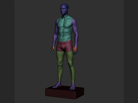 Artstation Realistic Male Anatomy Resources