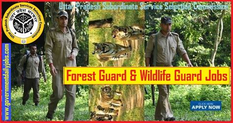 Upsssc Recruitment 2019 Apply Online For 655 Forest Guard And Wildlife