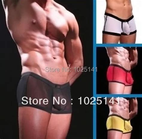 Underwear Sexy Transparent Mesh Gauze Lace Panties Gay Male Sheer See Through Mens Semi Stretch