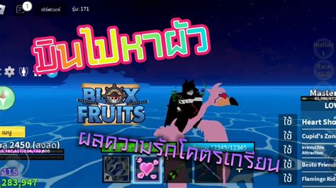 Blox Fruit🌊ล่าค่าหัวด้วยผลความรัก ️😍 Youtube