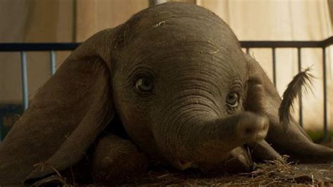 Dumbo Movie Review Tim Burton S Whimsical Take On Disney S Flying