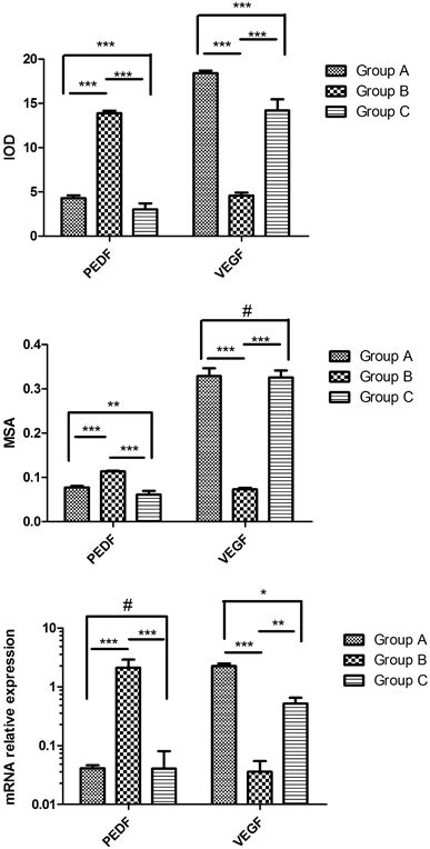 Pedf And Vegf Protein And Mrna Expression P 005 P Download