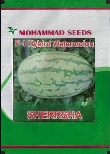 GREEN Sherrsha F1 Hybrid Watermelon Seeds For Agriculture Packaging