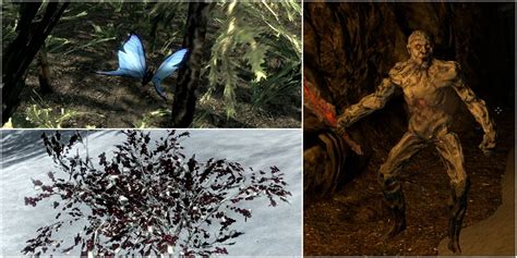 Skyrim: How To Make A Fortify Enchanting Potion