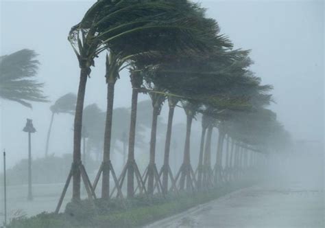 Qué significa soñar con viento fuerte Incluye VÍDEO