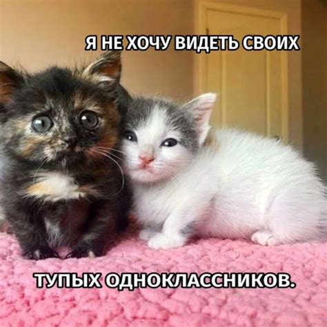 Я боюсь взросления я иду в 1 класс (9) §1#school #reallive #summer ...