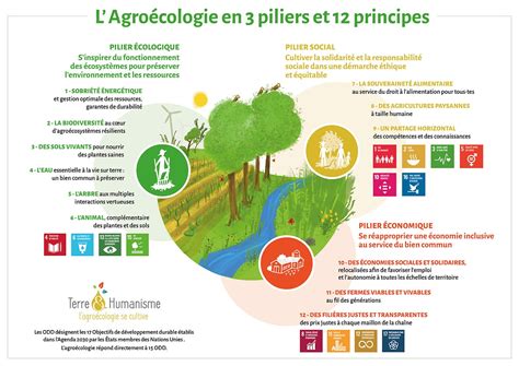 Agroécologie Définition et Fondamentaux Agroécologie et Permaculture