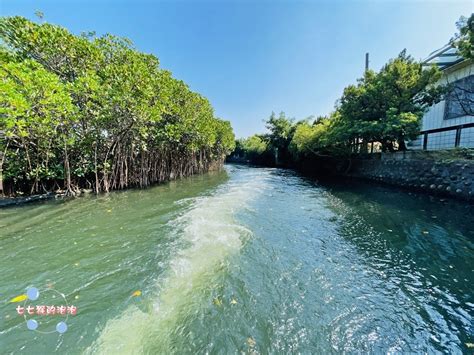 台南四草綠色隧道｜台灣袖珍版亞馬遜河。紅樹林生態之旅｜七七猴 媽咪拜mamibuy