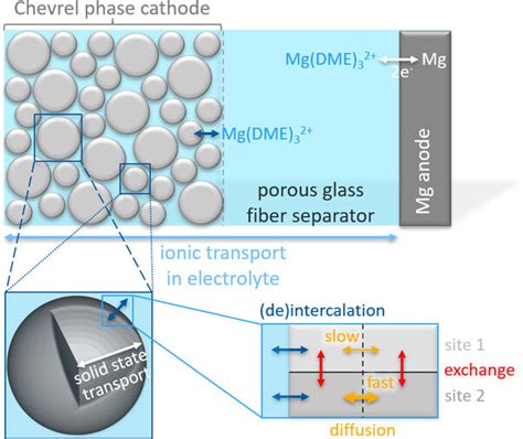 modeling  magnesium intercalation  chevrel phase mos report