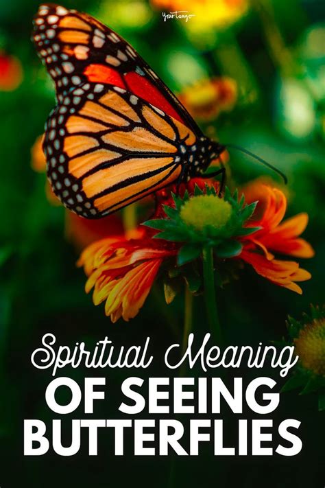 Butterfly Symbolism And Intriguing Spiritual Meanings Of Seeing Butterflies Butterfly