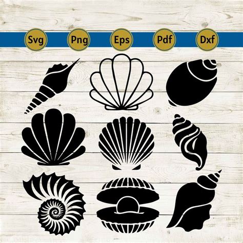 Seashell Svg Shell Svg Sea Life Svg Under The Sea Svg Seashell