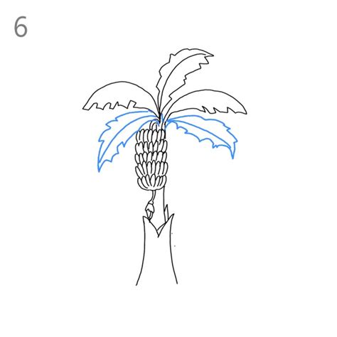 How To Draw A Banana Tree Step By Step Easy Drawing Guides Drawing Howtos