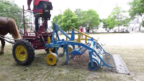 Desherbage mécanique à cheval - YouTube