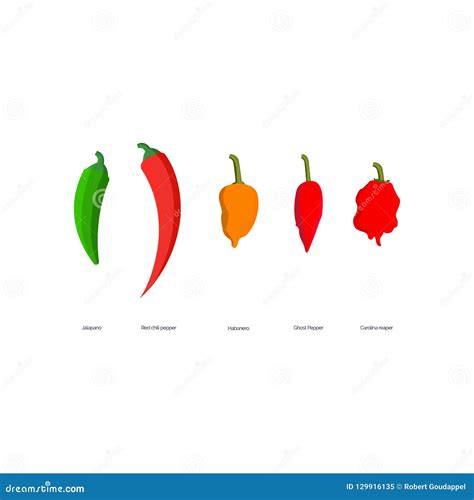 Vector Illustration Hot Spicy Peppers CartoonDealer 129916135