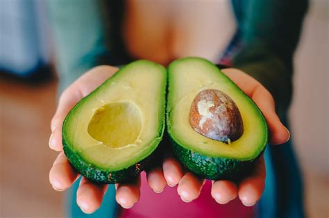 Can Dogs Eat Avocado Everything You Need To Know