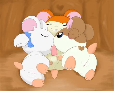 Post 5255978 Bijou Hamtaro Hamtarocharacter Sparkle Yumei